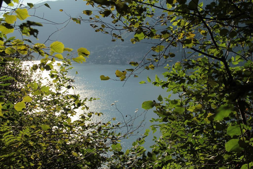 Casa Filomena Bed and Breakfast Faggeto Lario Esterno foto