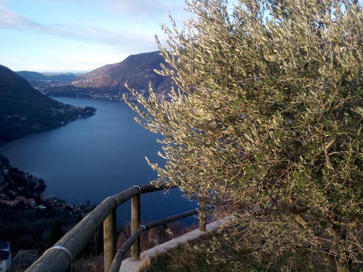 Casa Filomena Bed and Breakfast Faggeto Lario Esterno foto